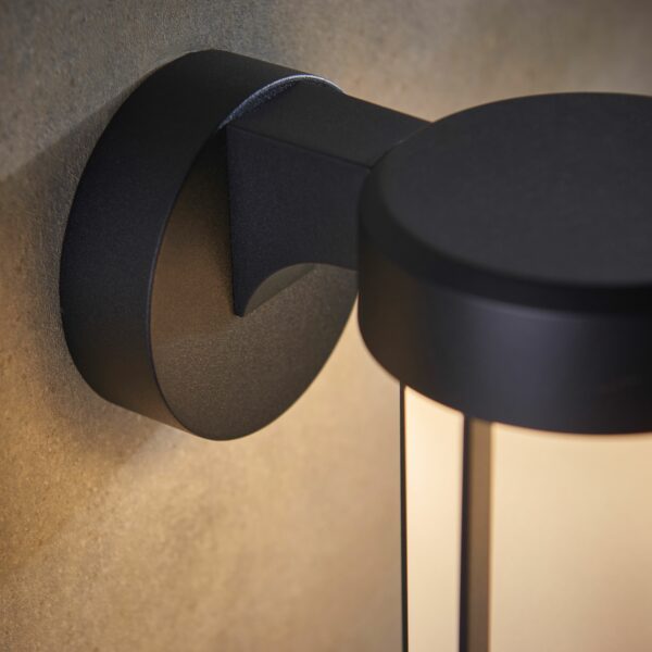 Alva Outdoor Wall Light | Frosted Black