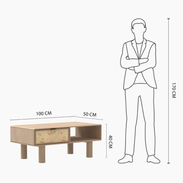 Metro Burl Coffee Table | Assembly Required
