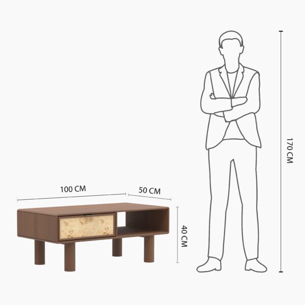 Metro Burl Coffee Table | Assembly Required